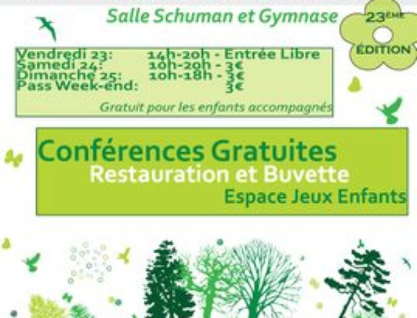 flyer-rohrbach