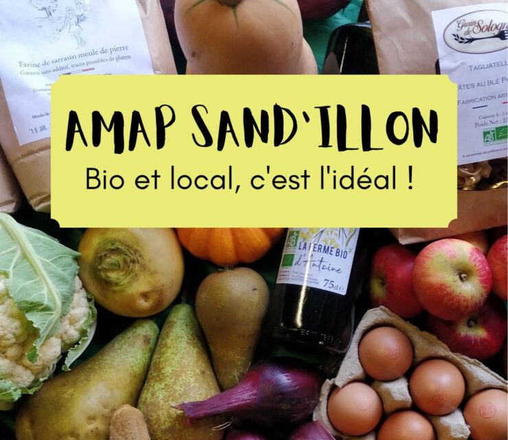 15 juin 2024 | Portes ouvertes au Potager de Sandillon – 45